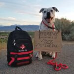 Pet Evacuation Pack