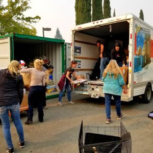 Delivery of pet supplies for Camp Fire victims