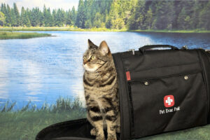 Emergency Survival cat kit