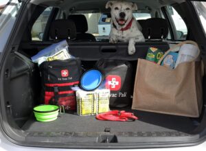 Pet emergency kits, Pet Evacuation packs