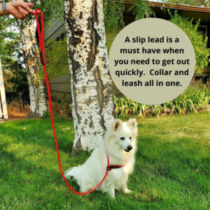 Slip Lead, collar leash, british style,