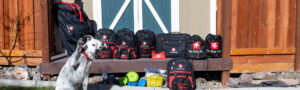 Pet Store, Pet Business, Pet evacuation kits