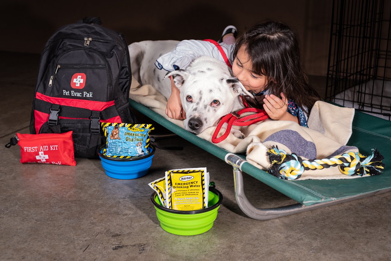 Red Cross Shelter with pets