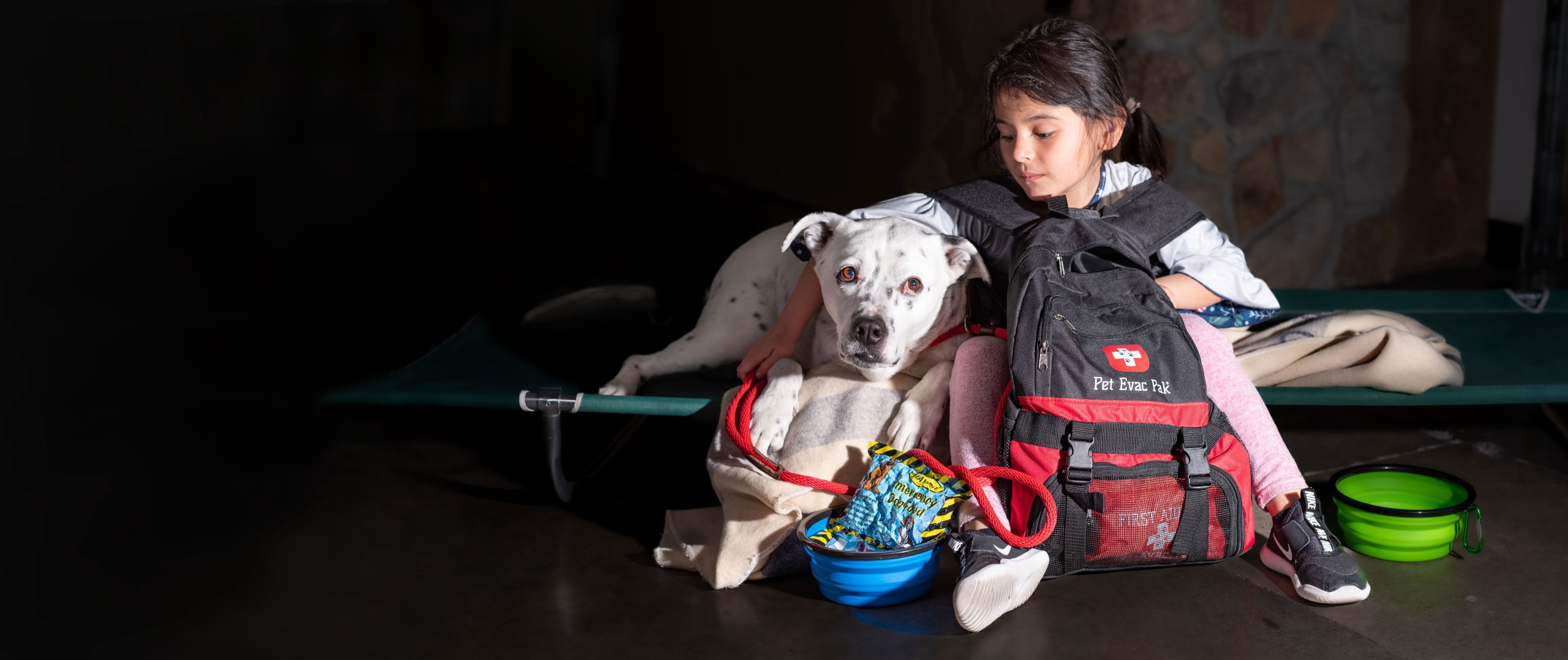 Pet Emergency Kits Pet Emergency Kits