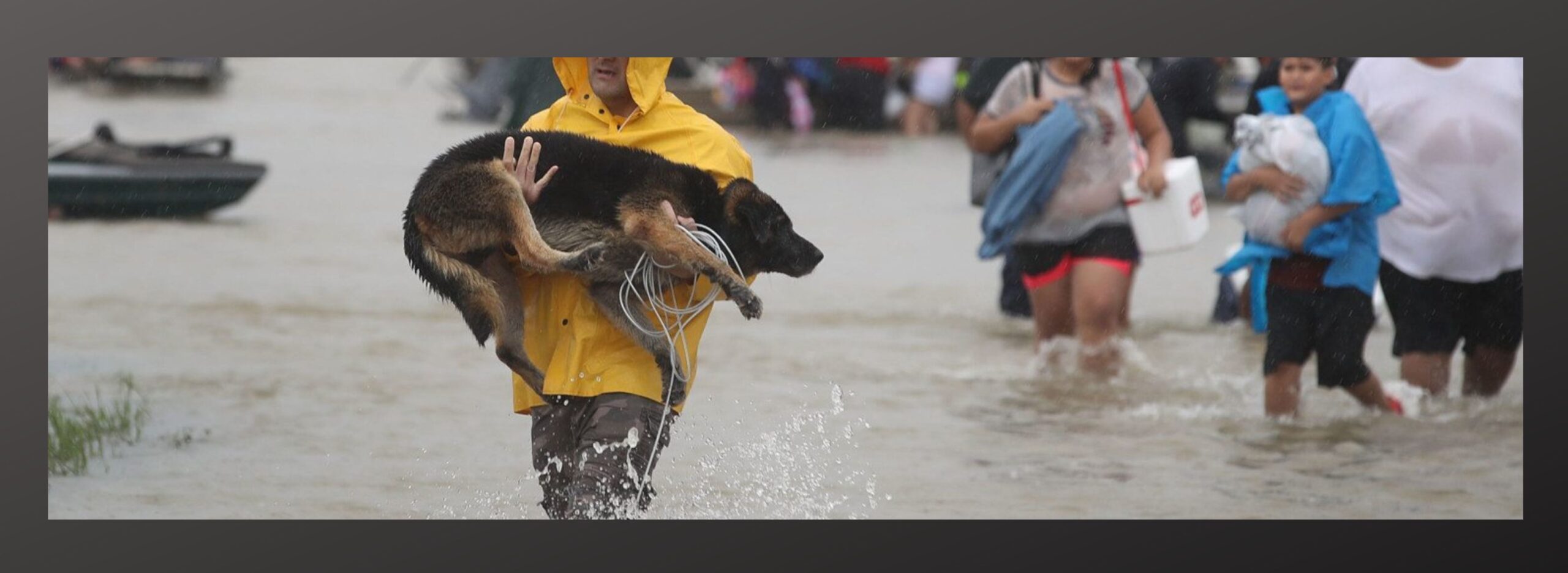 Evacuating with dog