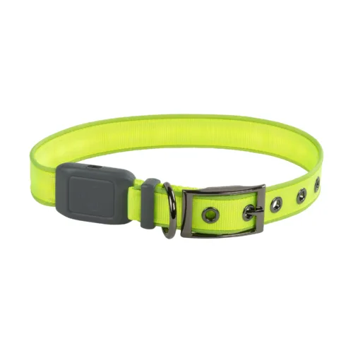 LED Rechargeable Dog Collar. Glow dog collar