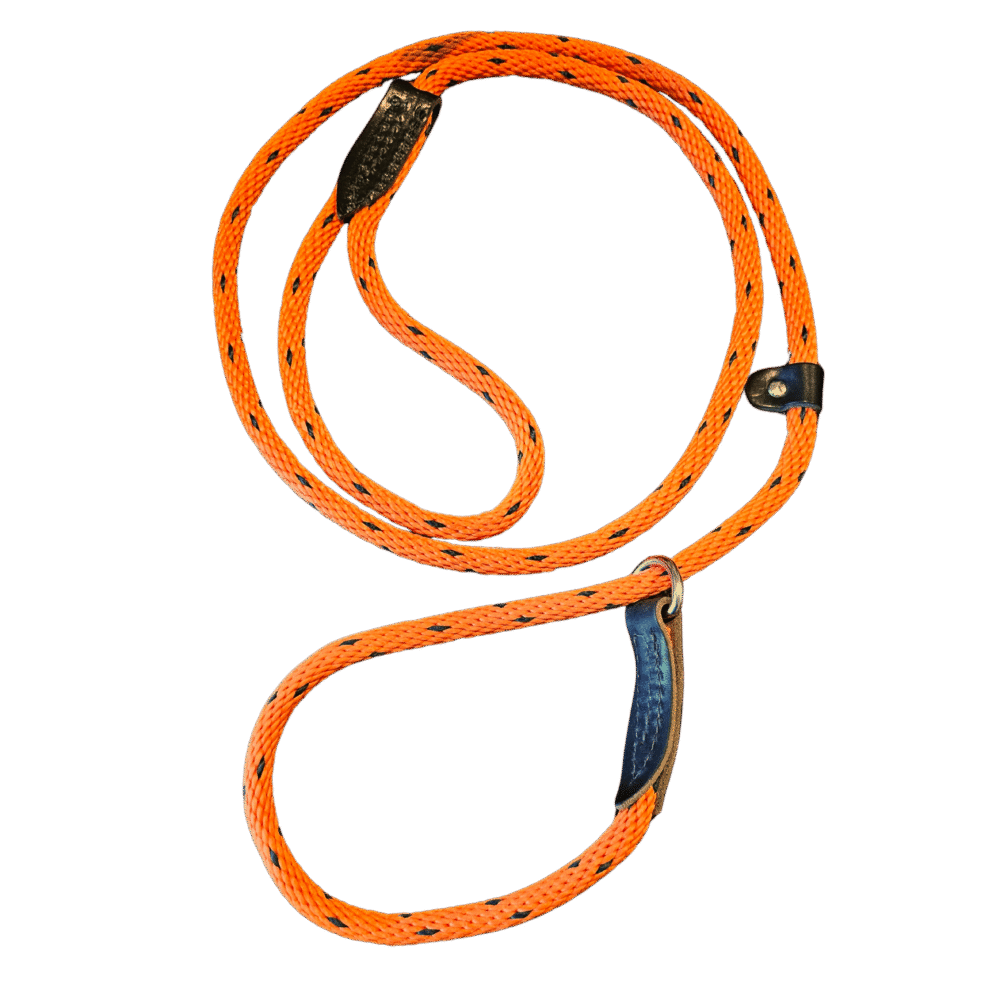 Slip Lead, Slip Leash, Leash