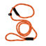 Slip Lead, Leash