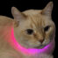 LED Rechargeable Cat Necklace