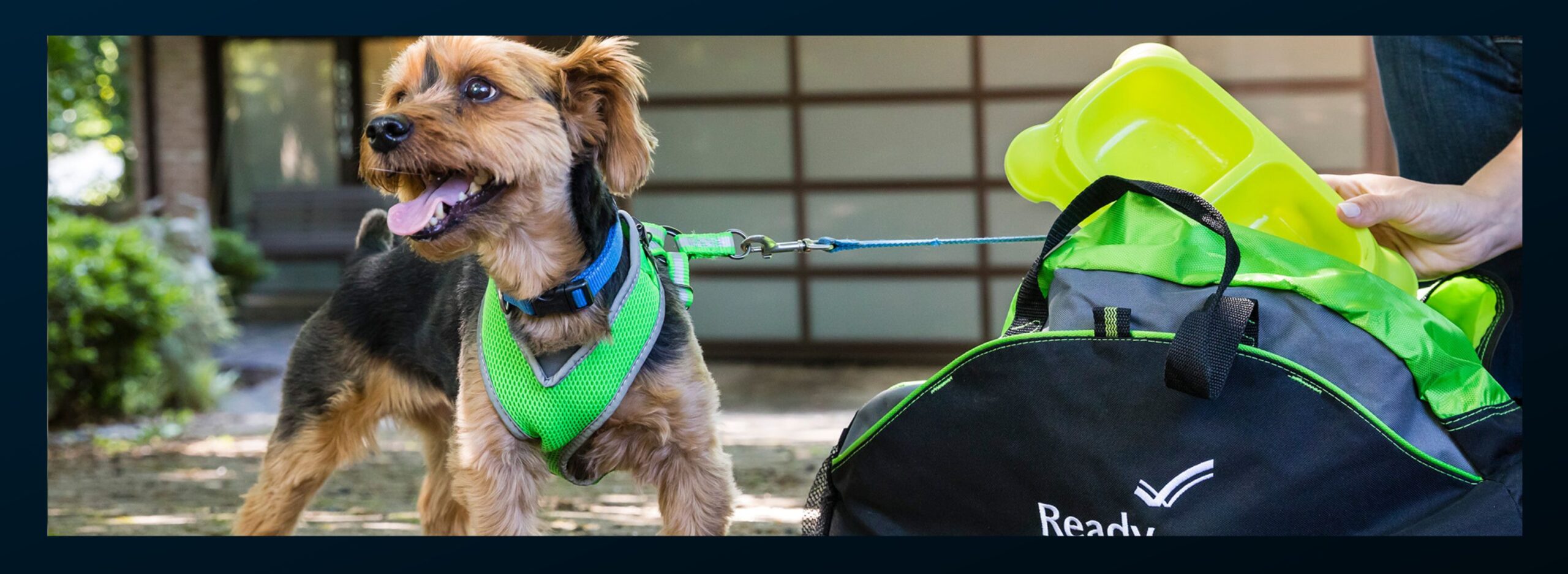 National Pet Preparedness Month