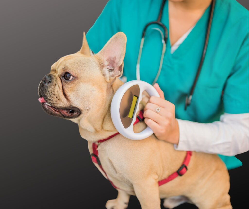 Microchip