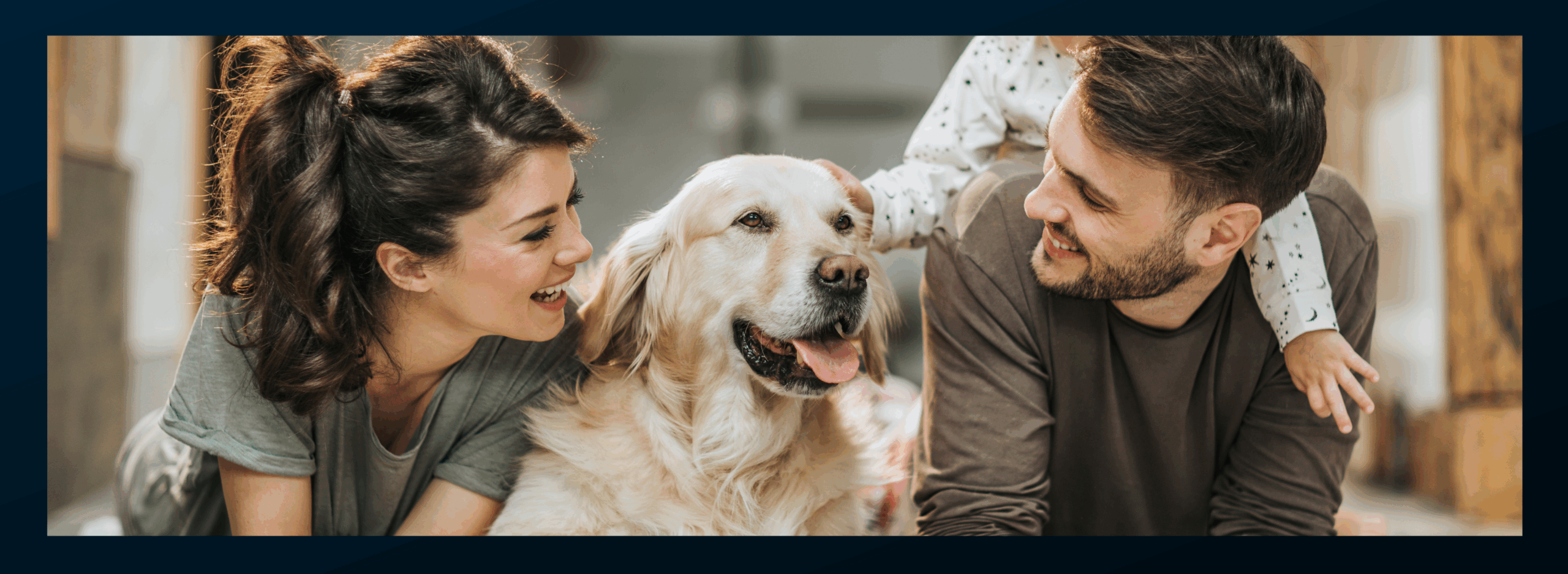 Pet Safety