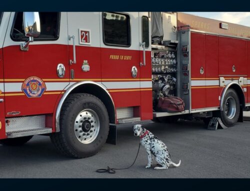 Government Shutdown and your Pets