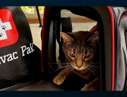 National Pet Preparedness Month – June 2026