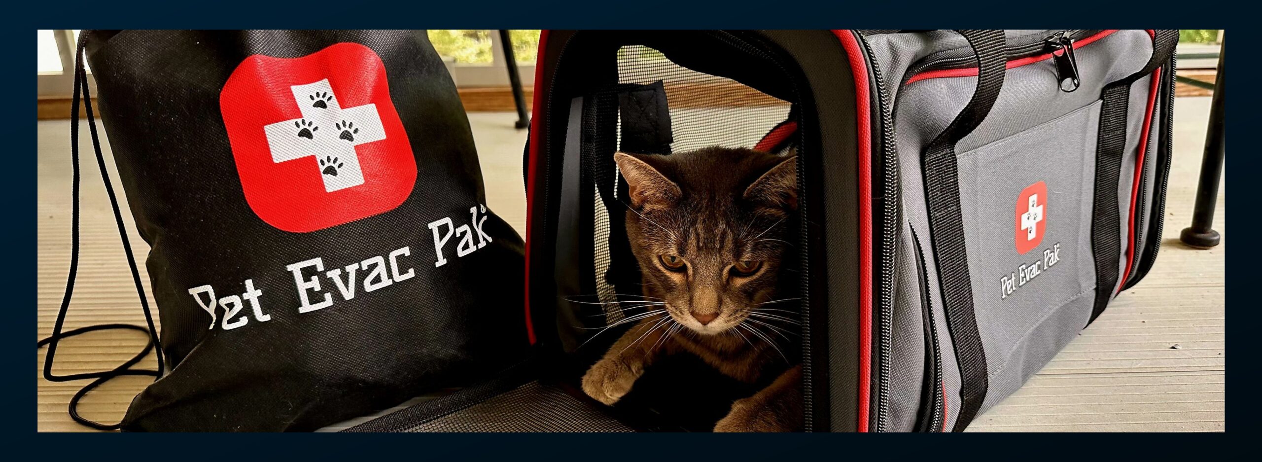 National Pet Preparedness Month