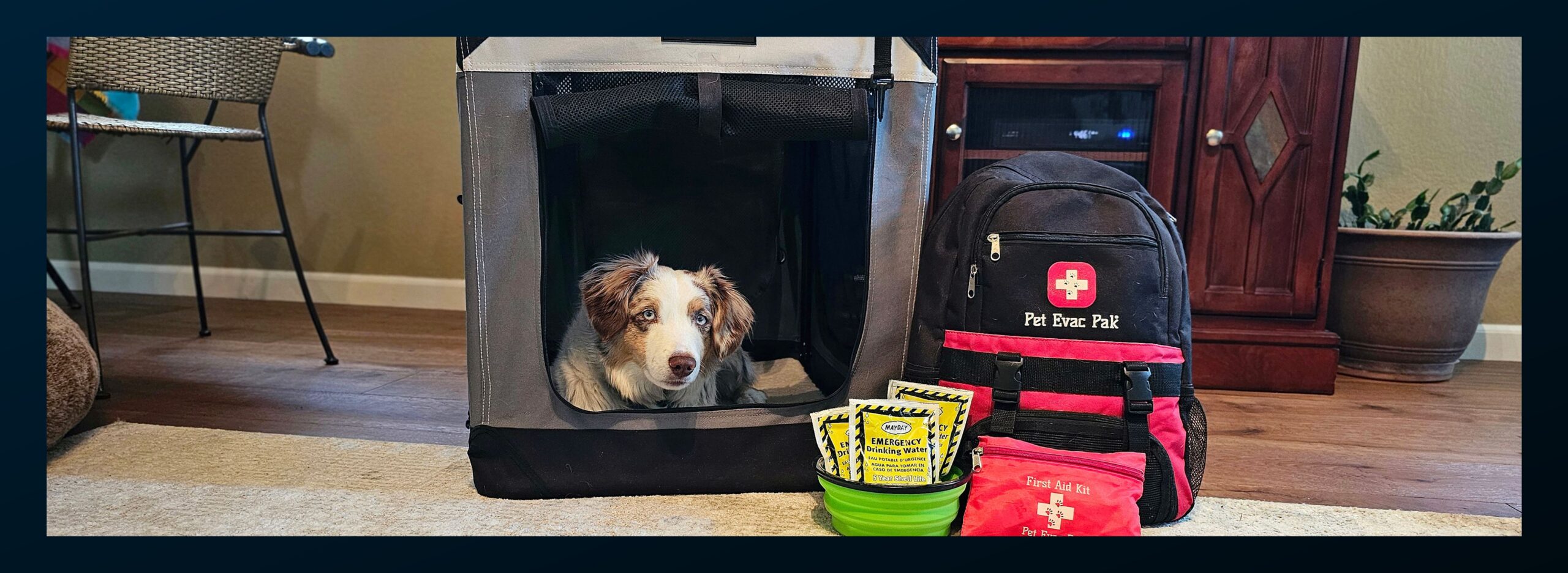 National Pet Preparedness Month