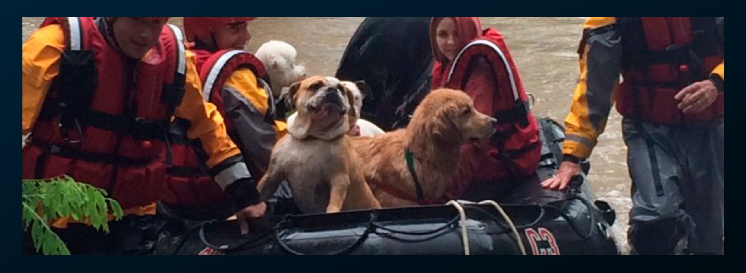 Hurricane Harvey