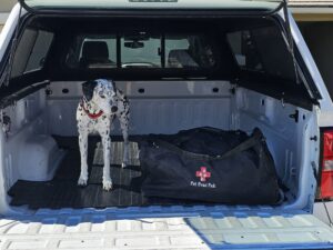 Roller bag emergency kit