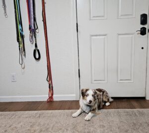Slip Leads hanging by the front door