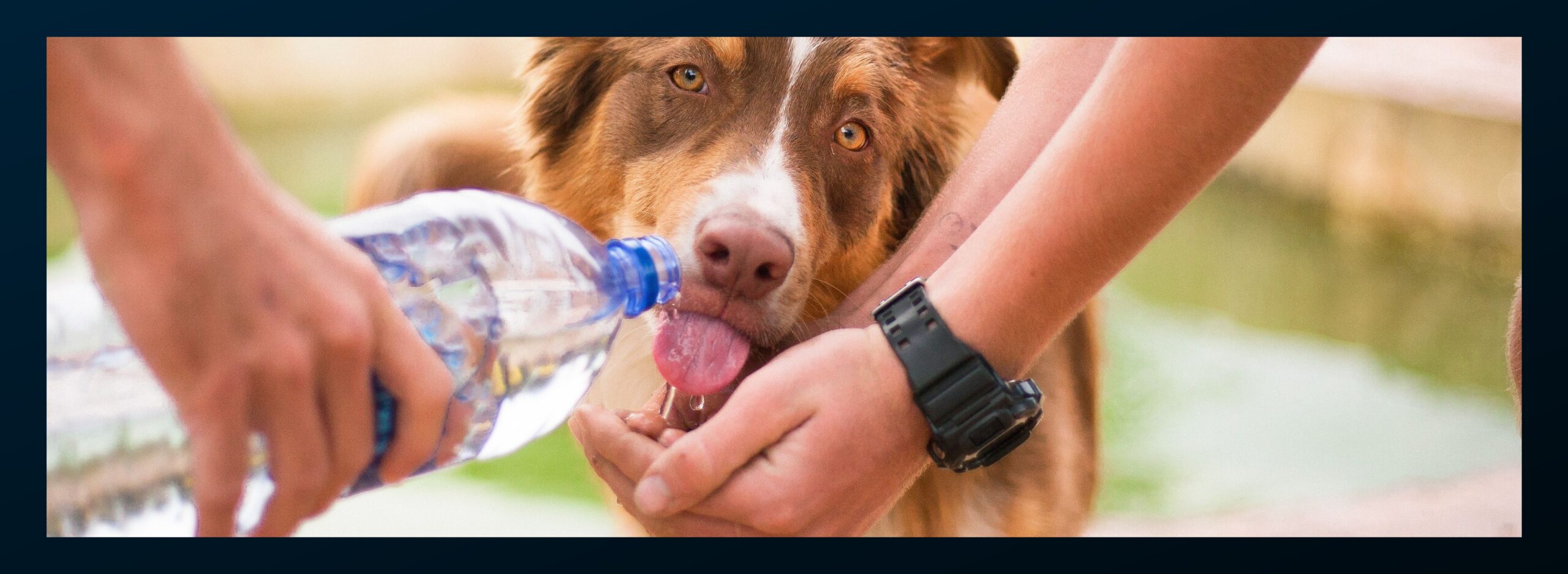 Drinking water