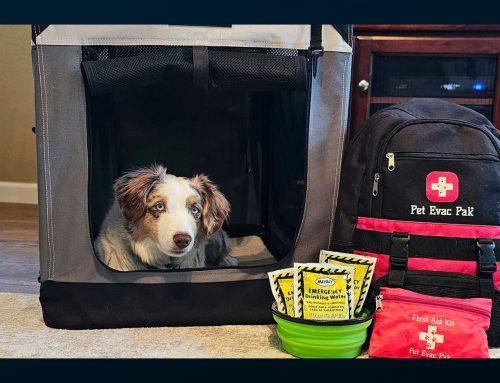 September is National Preparedness Month